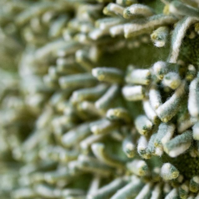 Wohnung No. 16 | Rath-Kerscher - Möbliert Wohnen am Viktualienmarkt